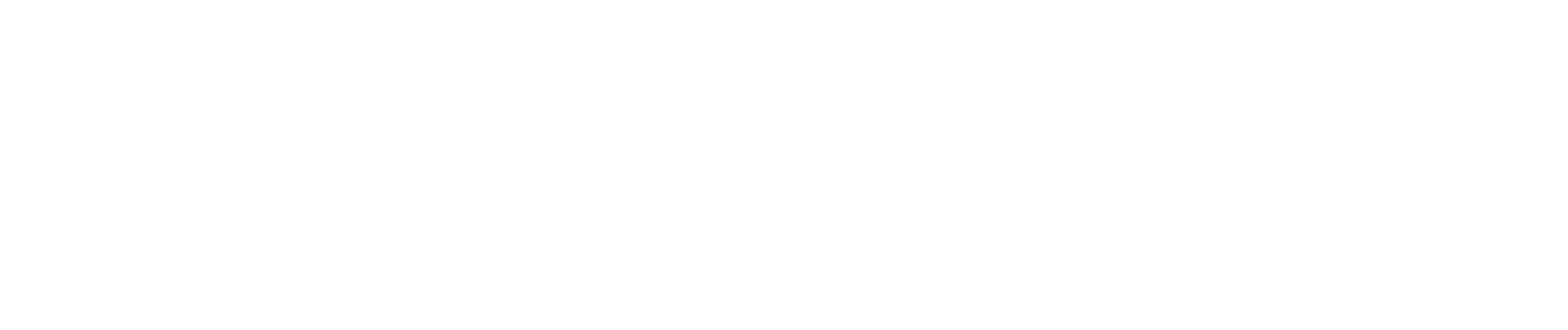 Ange Eyzaguirre Internacional