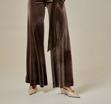 Velvet Taupe Pants